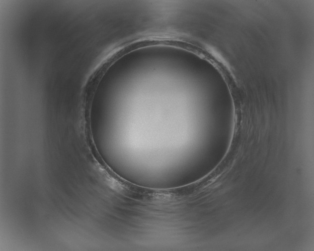 X0000073911456200608251511