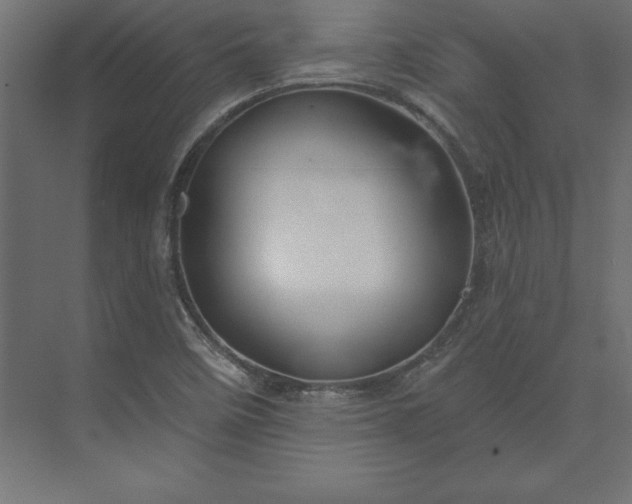 X0000073911458200608251511