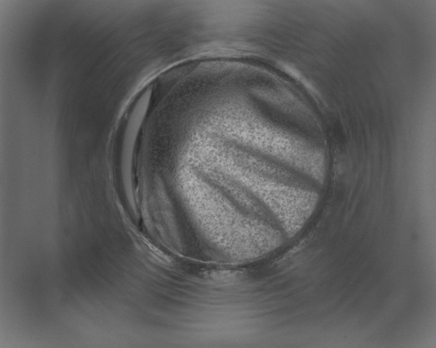 X0000073911459200608251511