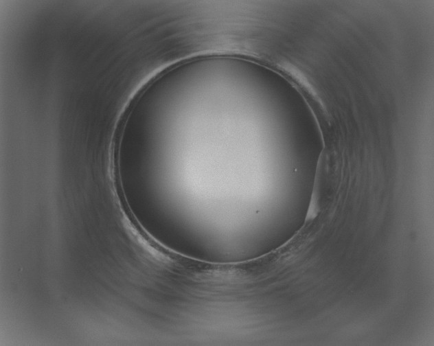 X0000073911468200608251510