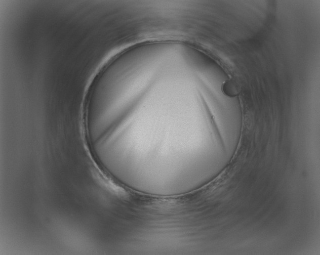 X0000073911470200608251510