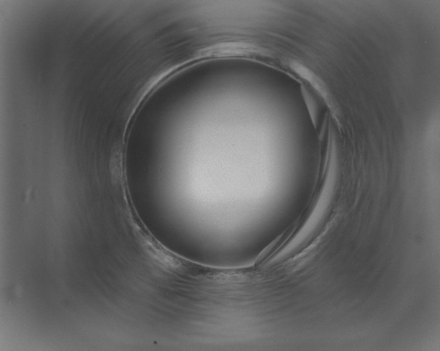 X0000073911473200608251510