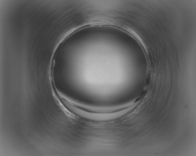 X0000073911485200608251510