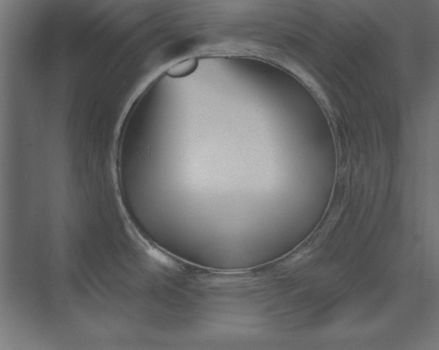 X0000073911486200608251510