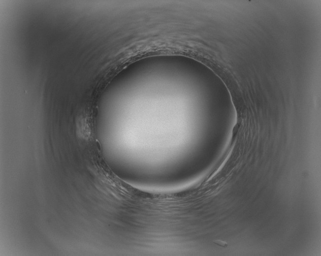 X0000073911490200608251509