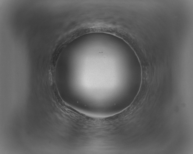 X0000073911493200608251509