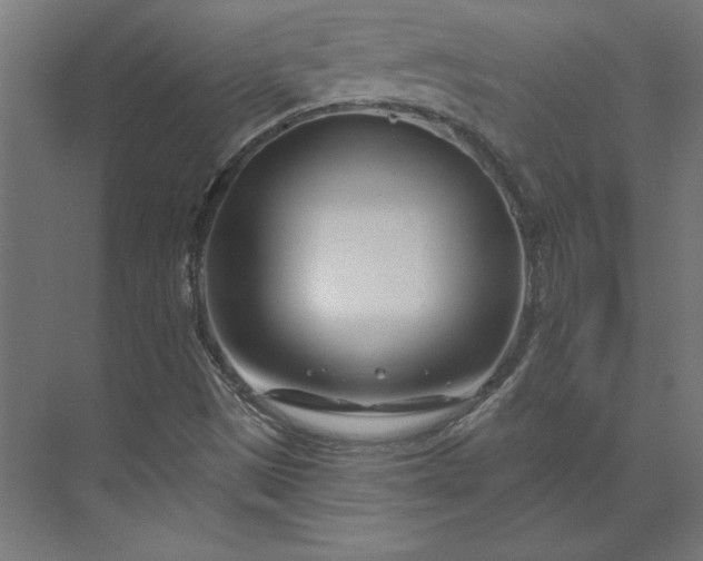X0000073911497200608251509