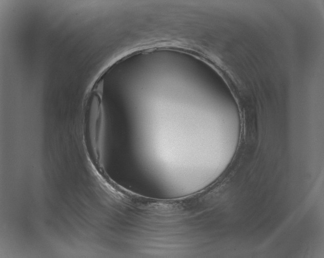 X0000073911500200608251509