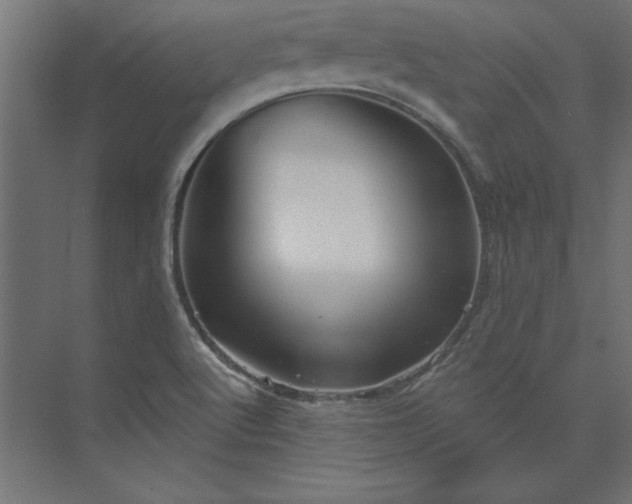 X0000073911512200608251510