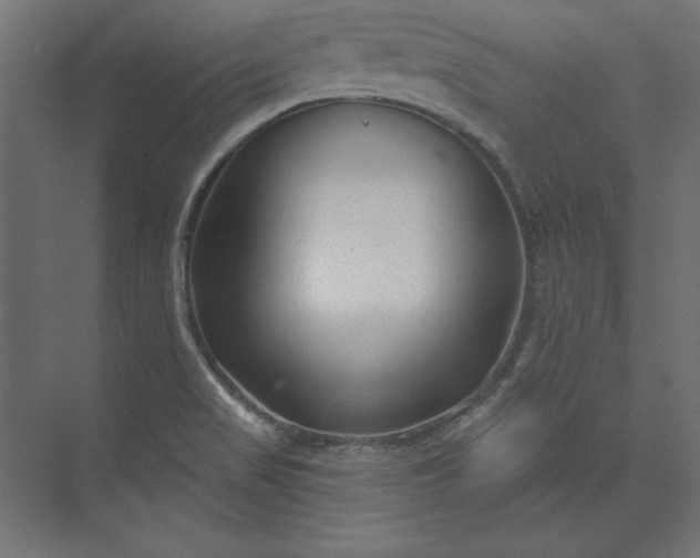 X0000073911517200608251510