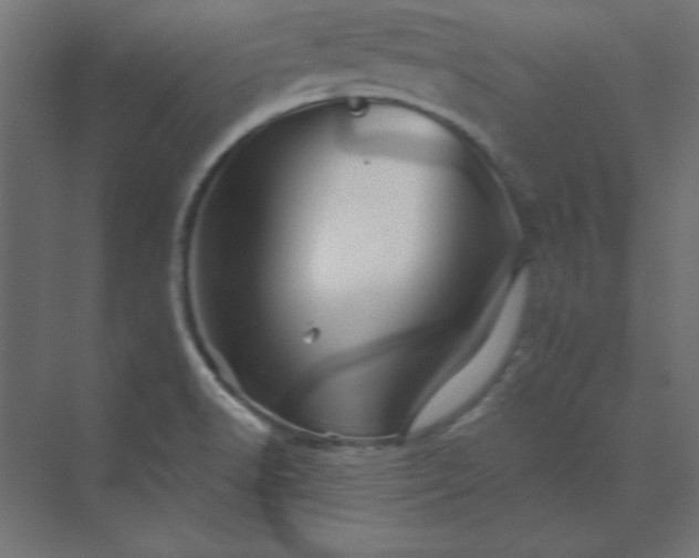 X0000073911518200608251510