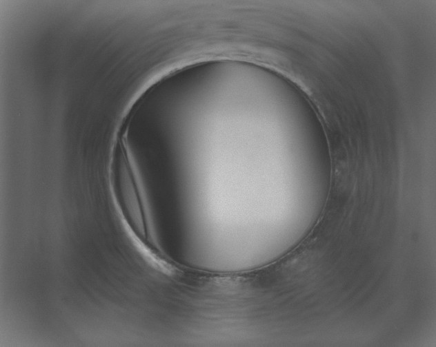 X0000073911523200608251510