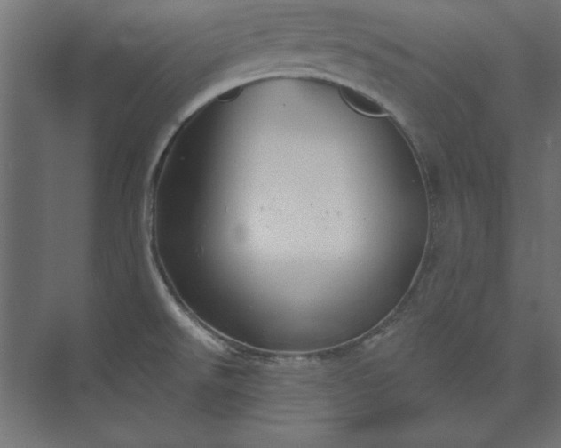 X0000073911526200608251510