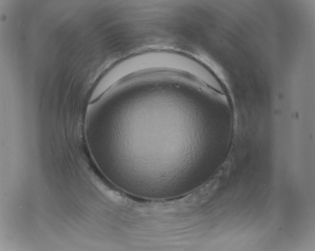 X0000073910009200609011755