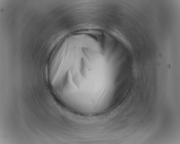 X0000073910014200609011755