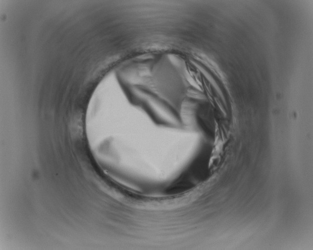 X0000073910017200609011755