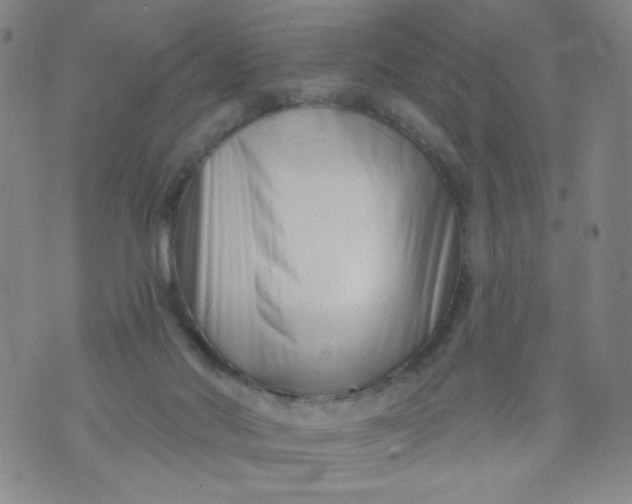 X0000073910022200609011755