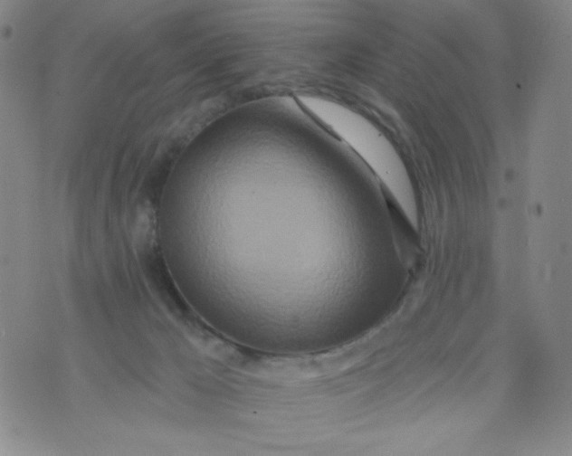 X0000073910029200609011755