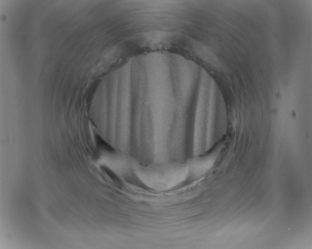 X0000073910039200609011755