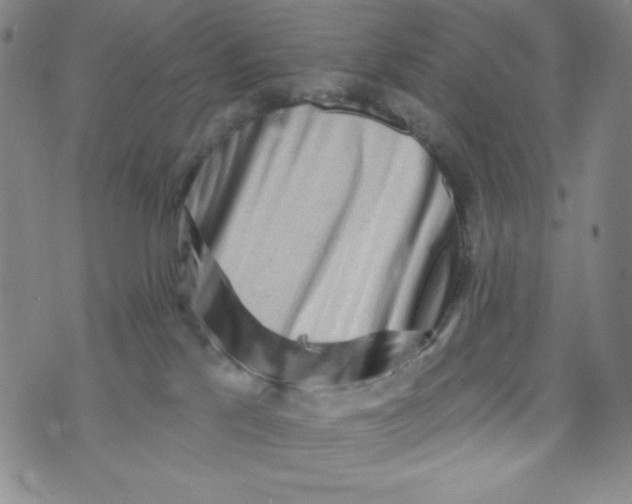 X0000073910041200609011755