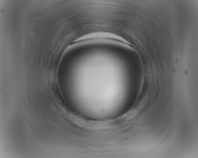X0000073910044200609011755