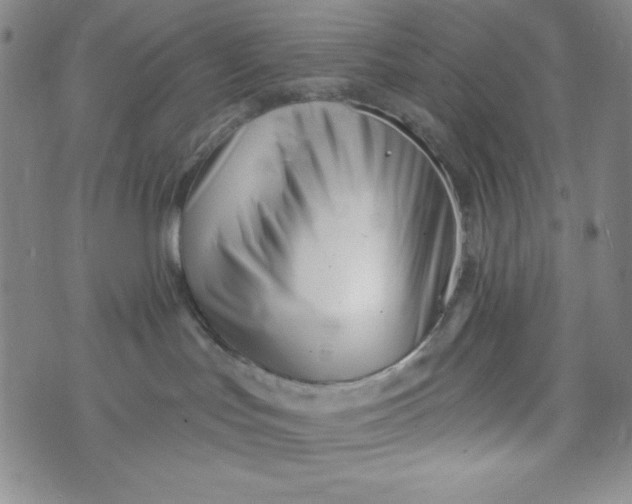 X0000073910047200609011755