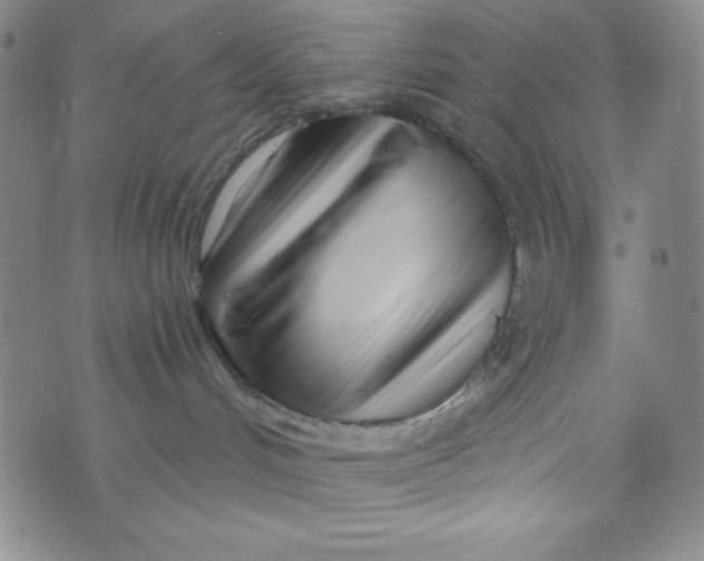 X0000073910048200609011755