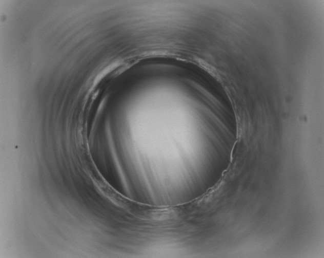 X0000073910050200609011754