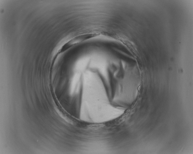 X0000073910051200609011754