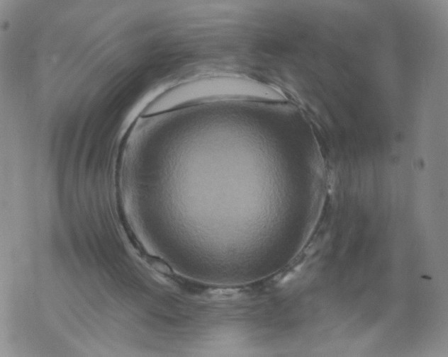 X0000073910052200609011754