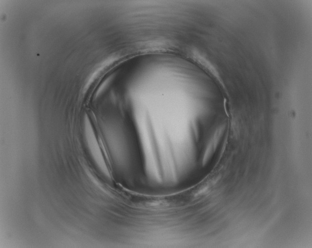 X0000073910059200609011754