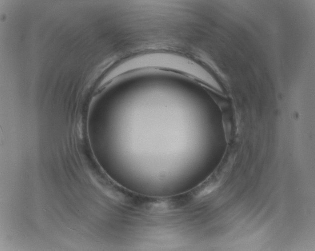 X0000073910068200609011754