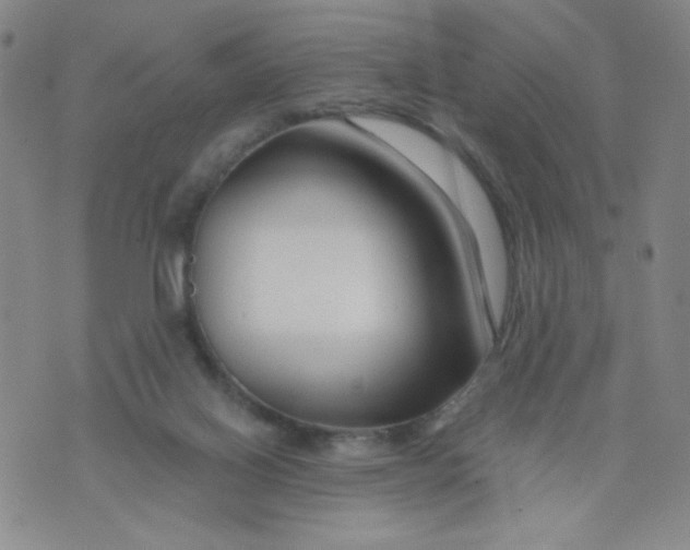 X0000073910070200609011754