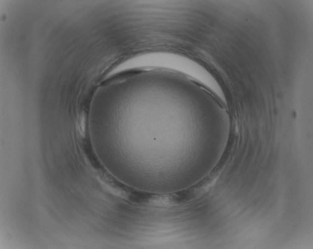 X0000073910076200609011754