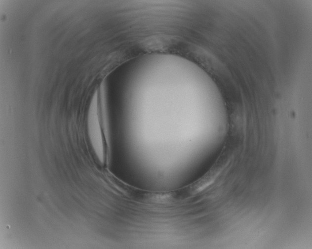 X0000073910081200609011755