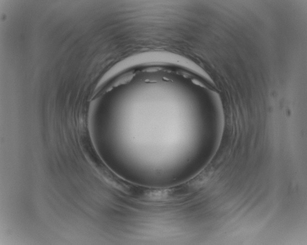 X0000073910084200609011755
