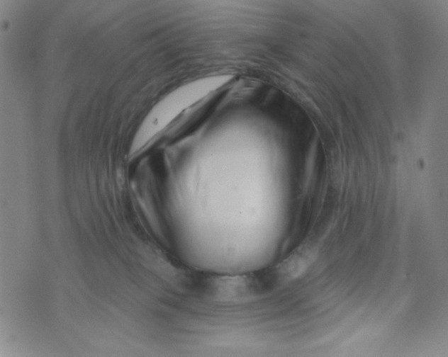 X0000073910085200609011755