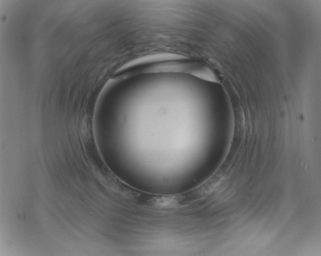 X0000073910088200609011755