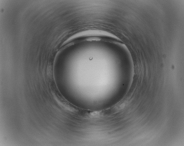 X0000073910092200609011755