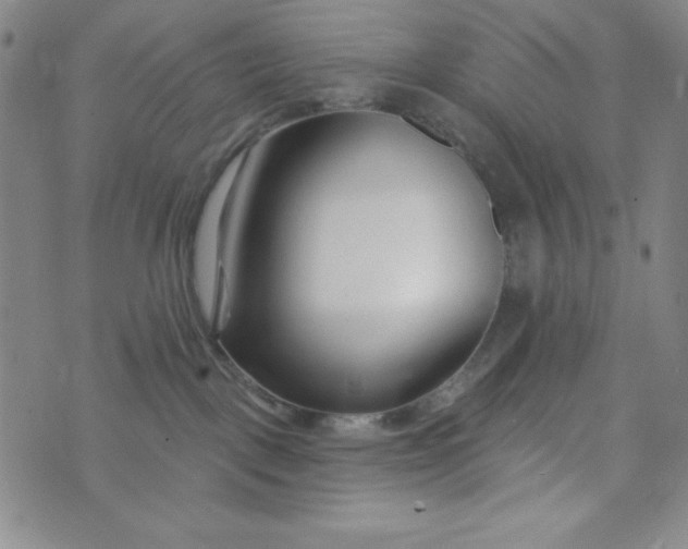 X0000073910093200609011755