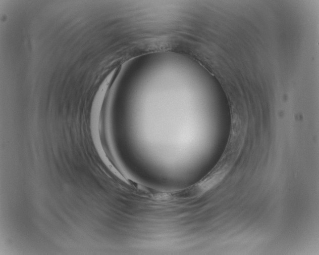 X0000073910096200609011755