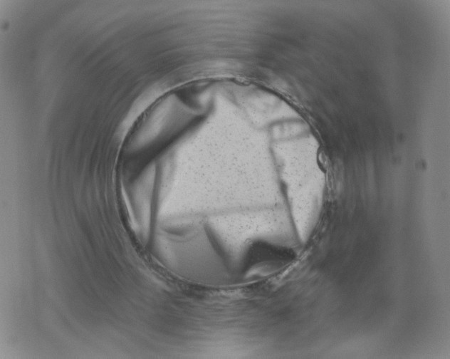 X0000073910099200609011754
