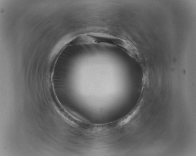 X0000073910101200609011754