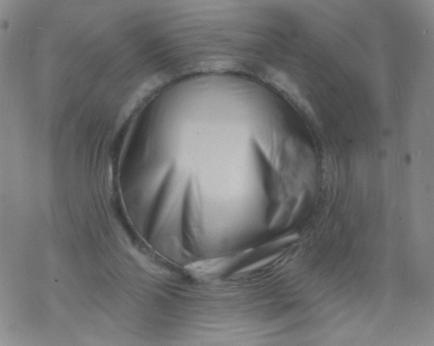 X0000073910110200609011754