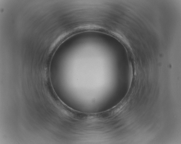 X0000073910111200609011754