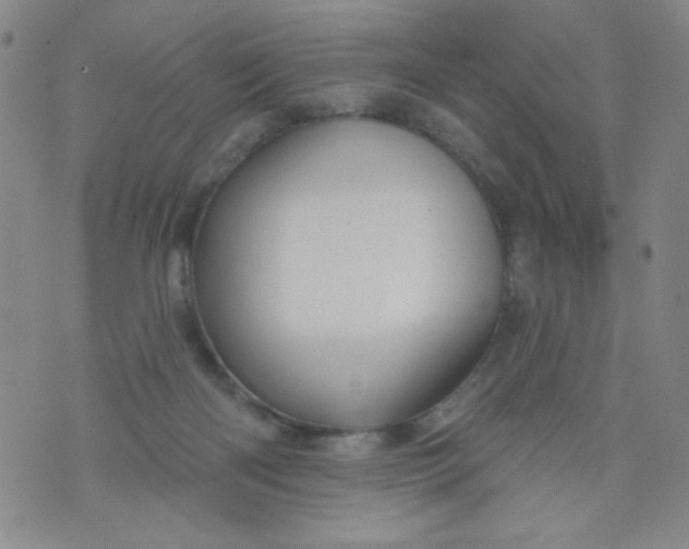 X0000073910122200609011754