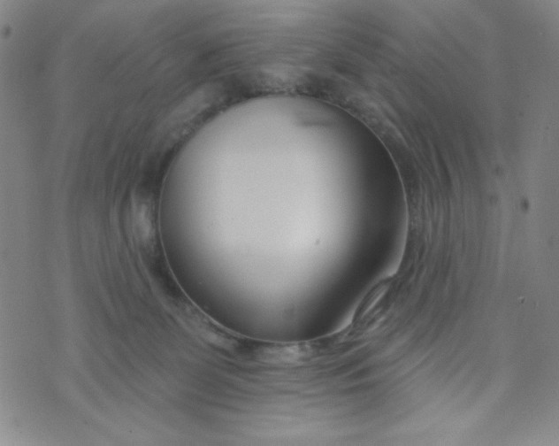 X0000073910131200609011753