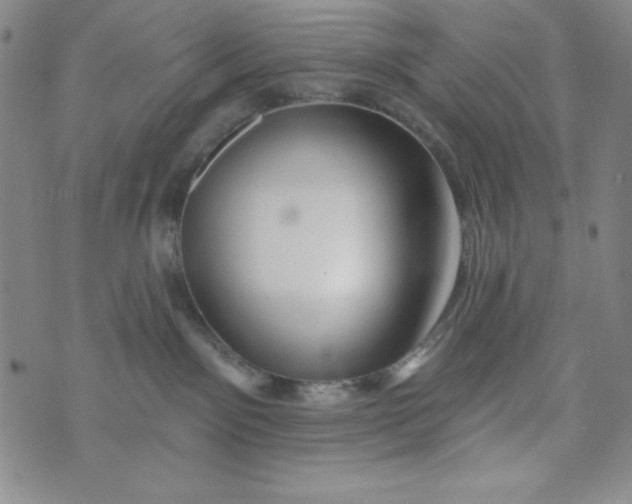 X0000073910141200609011753