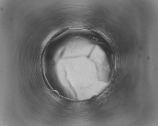 X0000073910147200609011752