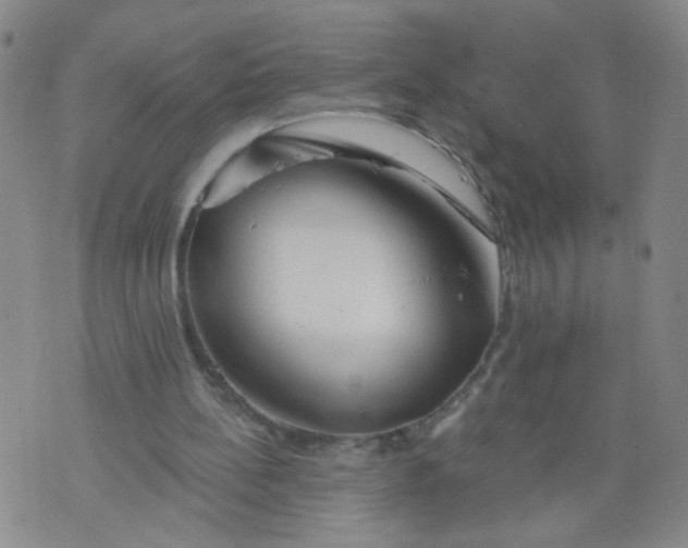 X0000073910148200609011753